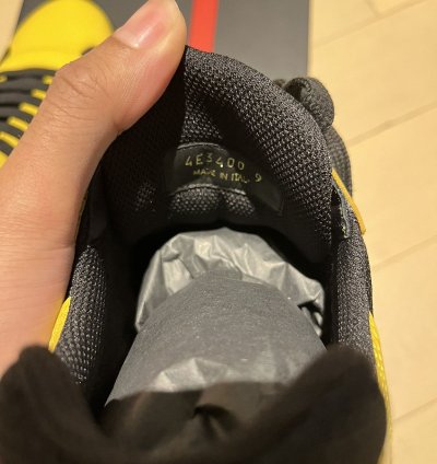 Prada Americas Cups