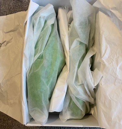 Prada Foam Rubber Mules - Green