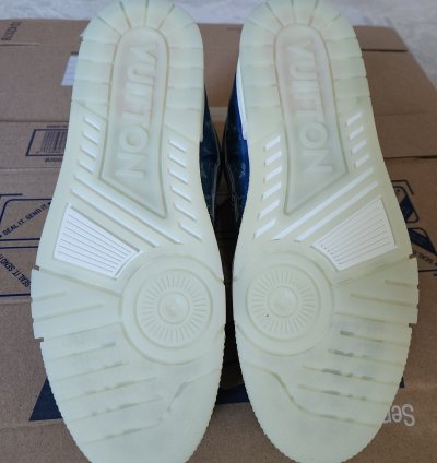 Rare Lv Trainer