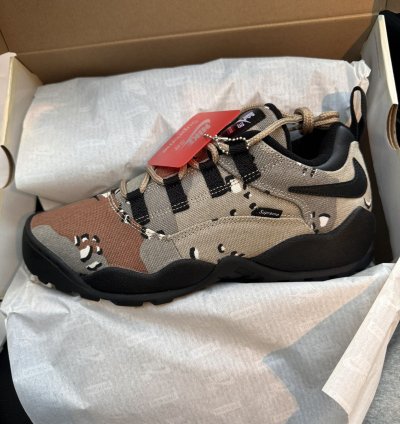 Rare New Supreme Darwin Nike Sb