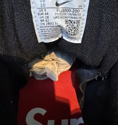 Rare New Supreme Darwin Nike Sb