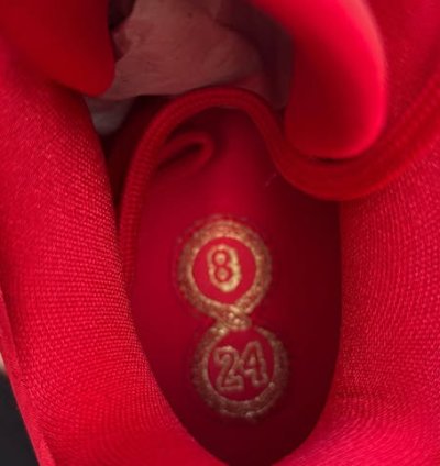 Nike Kobe 5 Protro Year Of The Mamba University Red