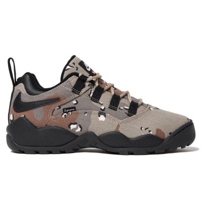 Send Offers Supreme Nike Sb Darwin Low Camo