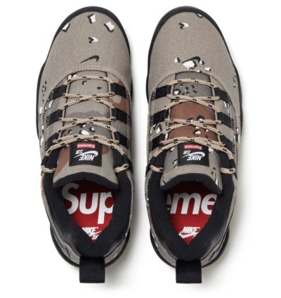 Send Offers Supreme Nike Sb Darwin Low Camo