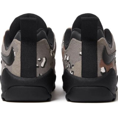Send Offers Supreme Nike Sb Darwin Low Camo