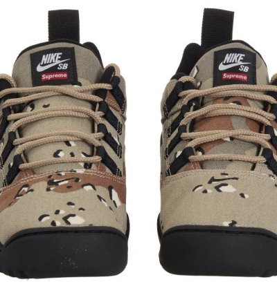 Send Offers Supreme Nike Sb Darwin Low Camo