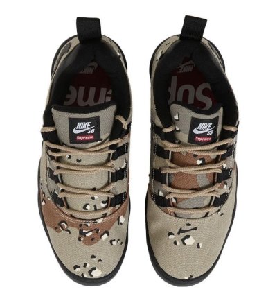 Send Offers Supreme Nike Sb Darwin Low Camo