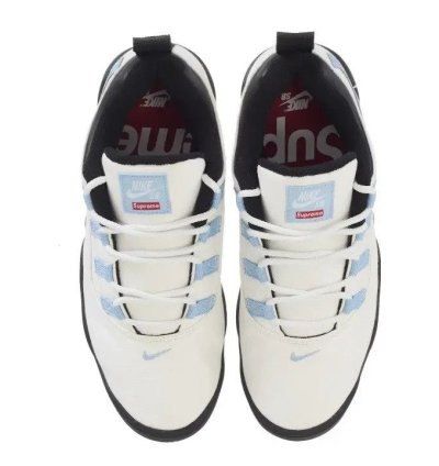 Size 9 5 Nike Sb Supreme Darwin Low White