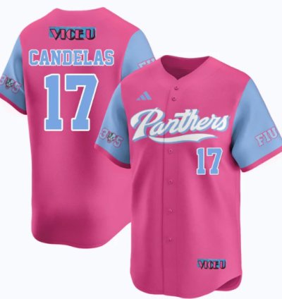 Hector Candelas Jersey 17 Fiu Baseball 2025 Vice U Stitched Pink