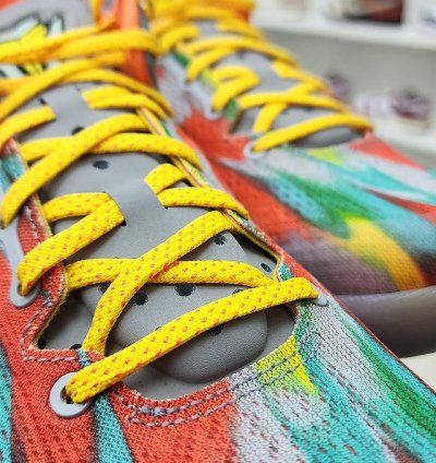 Nike Kobe 8 Protro venice Beach