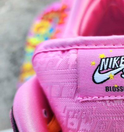 Nike Sb Dunk Low The Powerpuff Girls Pink Blossom