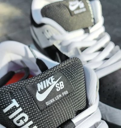 Nike Sb Dunk Low Pro Tightbooth