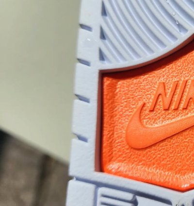 Nike Sb Dunk Low Pro Tightbooth