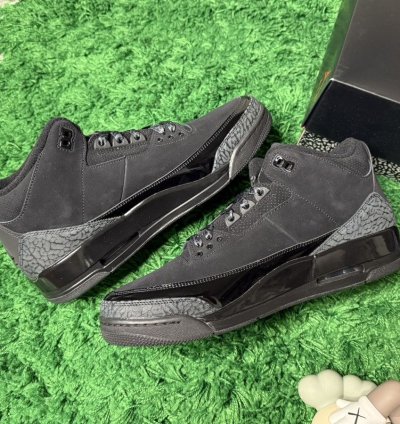 Air Jordan 3 Black Cat 2025
