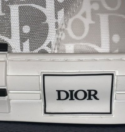 B23 High-top Sneaker White Dior Oblique Trasparenc Canvas