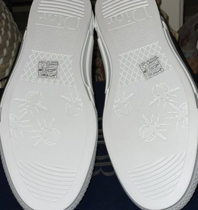 B23 High-top Sneaker White Dior Oblique Trasparenc Canvas