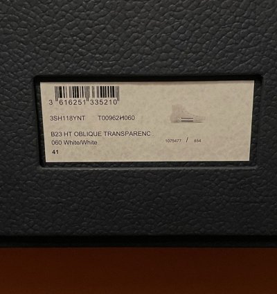 B23 High-top Sneaker White Dior Oblique Trasparenc Canvas