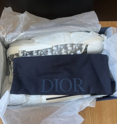 B23 Low Dior Oblique