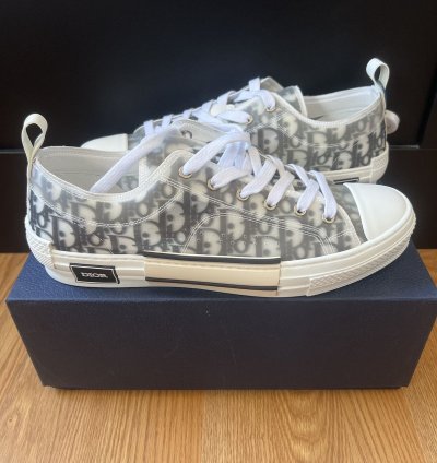 B23 Low Dior Oblique