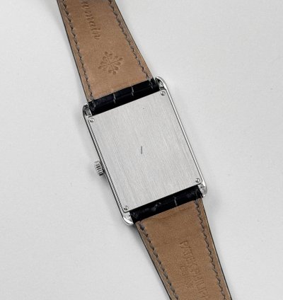 Patek Philippe 5076 100p-013 Platinum Cloisonn Enamel Tiger Dial Rare 2013