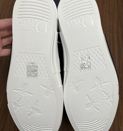 B23 Low-top White Dior Oblique Canvas
