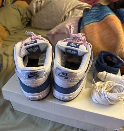 Born Raised Sd Nike Dunks