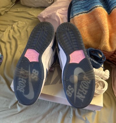 Born Raised Sd Nike Dunks