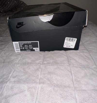 Cdg Foamposite Cat Eye Size 10
