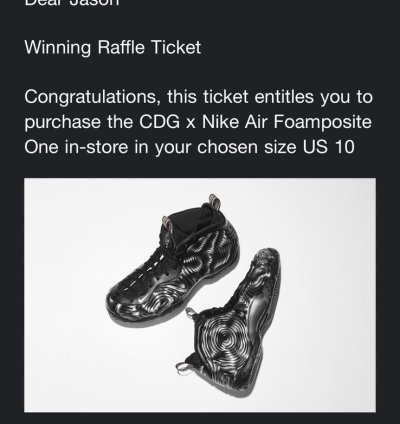 Cdg Foamposite Cat Eye Size 10
