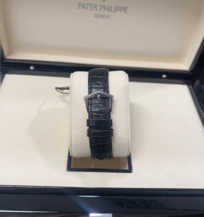 Patek Philippe Annual Calendar 5205g-013