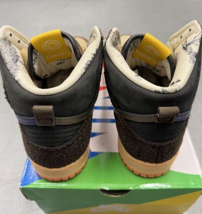 2020 Nike Sb Dunk High Concepts Turdunken
