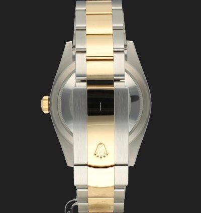 Rolex Sky-dweller Gold Steel Champagne Dial 336933 99 New