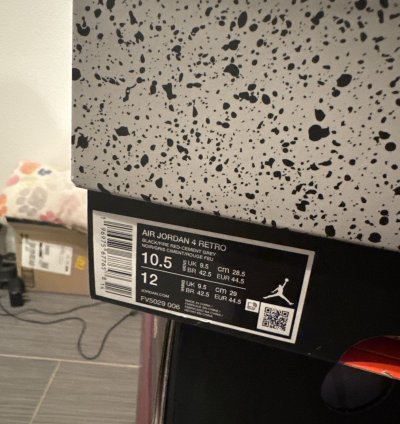 Jordan 4 Bred Reimagined
