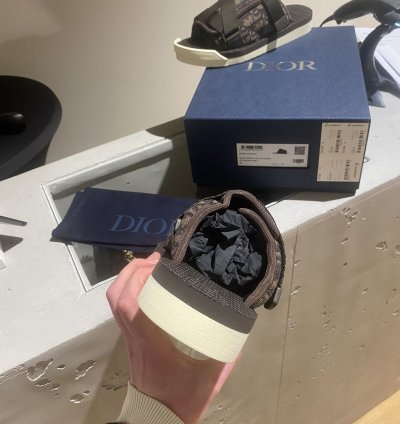 Bnwt Dior Alpha Slides Oblique Brown