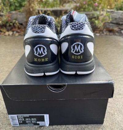 Kobe 6 Protro Mambacita