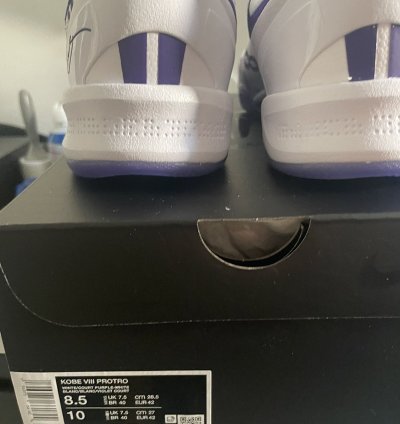 Kobe 8 Protro Court Purple