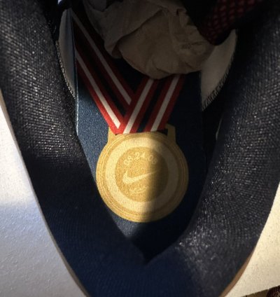 Kobe Iv Protro Gold Medal