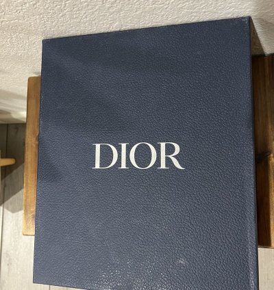 Cd1 Dior Sneaker