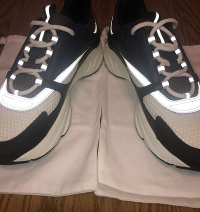 Christian Dior B22 Sneaker
