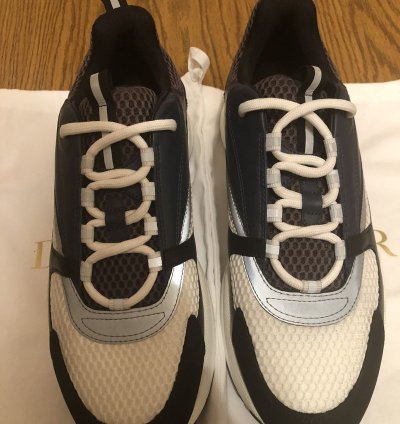 Christian Dior B22 Sneaker