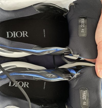 Christian Dior Sorayama B24 Runtek Blue Sneakers