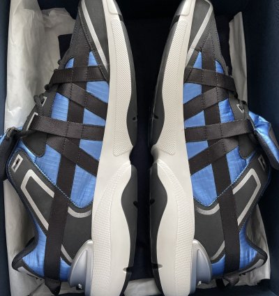 Christian Dior Sorayama B24 Runtek Blue Sneakers