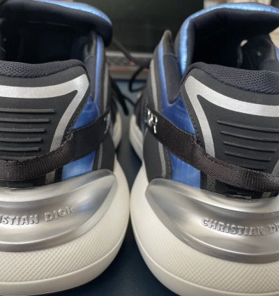 Christian Dior Sorayama B24 Runtek Blue Sneakers