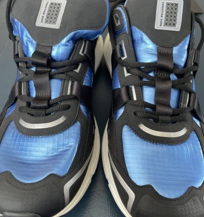 Christian Dior Sorayama B24 Runtek Blue Sneakers