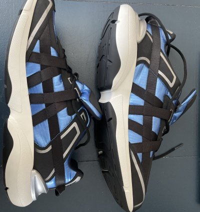 Christian Dior Sorayama B24 Runtek Blue Sneakers