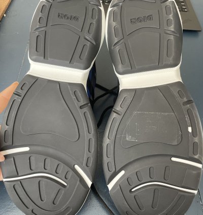 Christian Dior Sorayama B24 Runtek Blue Sneakers