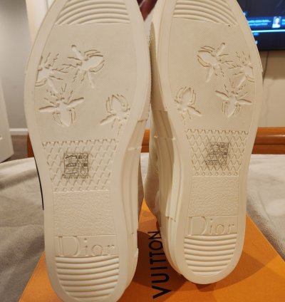 Dior -23 High Top Sneaker