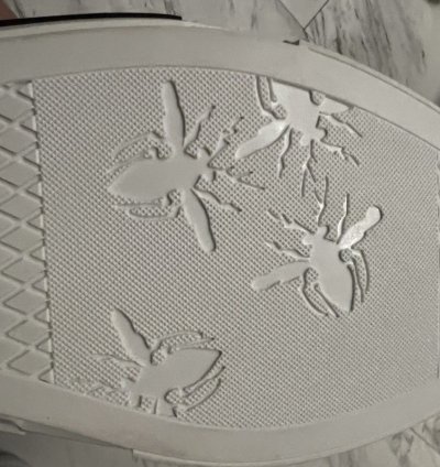 Dior -23 Low Top Sneakers Rare