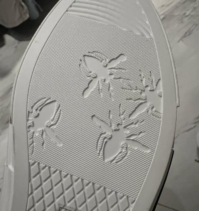 Dior -23 Low Top Sneakers Rare