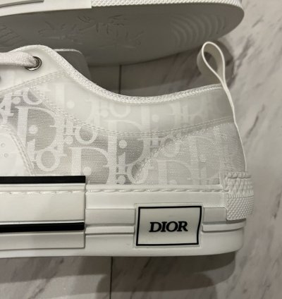 Dior -23 Low Top Sneakers Rare